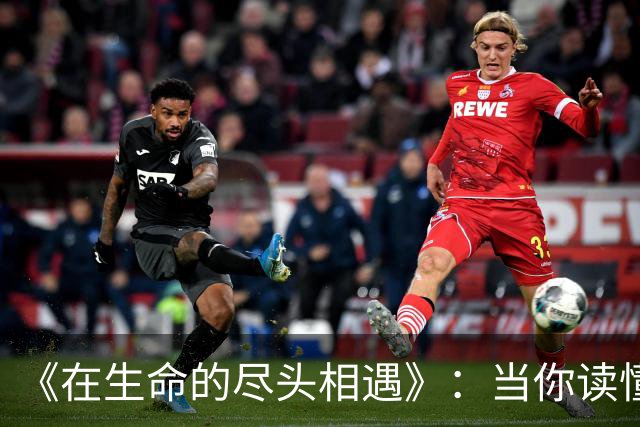 《在生命的尽头相遇》：当你读懂了告别，也就读懂了人生